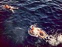 07 - Argonaut HandsToBathe3_Gulf_1981